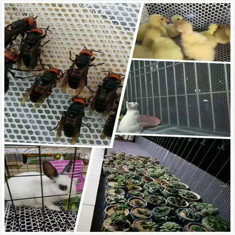 0.3/0.8/1.2Cm Hole Diameter Plastic Wire Net Garden Leakproof Mesh Pad Kids Safety Balcony Railing Stairs Protection Net Tools